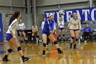 Volleyball vs Emerson  Wheaton College Women's Volleyball vs Emerson College. - Photo by Keith Nordstrom : Wheaton, Volleyball, VB2019